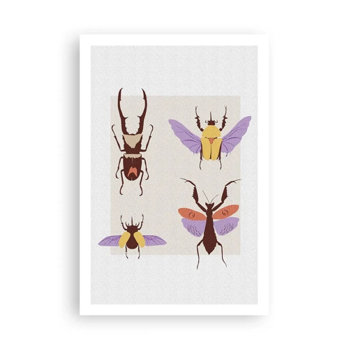 Poster - Insectenwereld - 61x91 cm