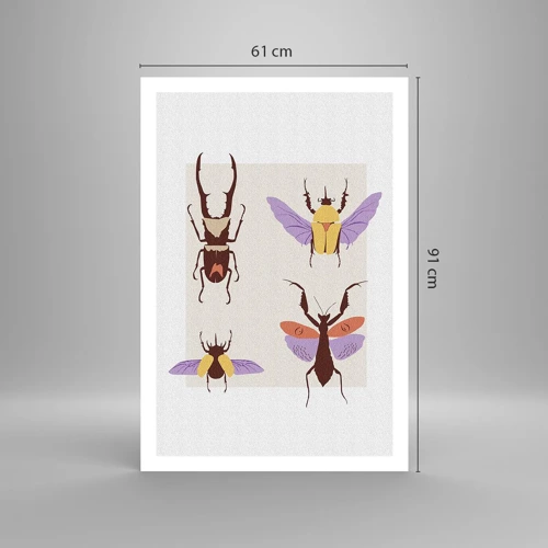 Poster - Insectenwereld - 61x91 cm