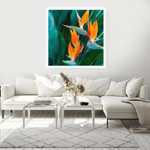 Poster - Is het een bloem of is het een vogel? - 60x60 cm