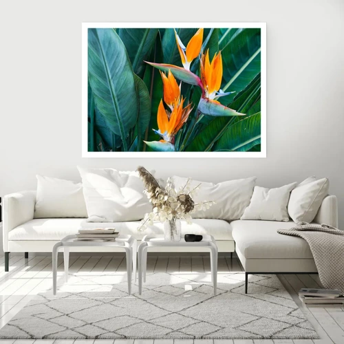 Poster - Is het een bloem of is het een vogel? - 70x50 cm