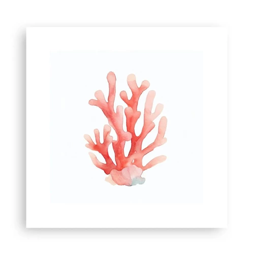 Poster - Koraalkleurig koraal - 30x30 cm