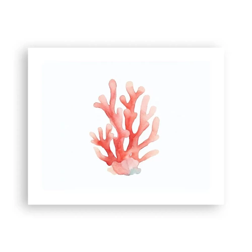 Poster - Koraalkleurig koraal - 50x40 cm
