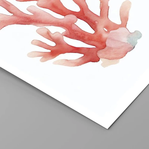 Poster - Koraalkleurig koraal - 60x60 cm