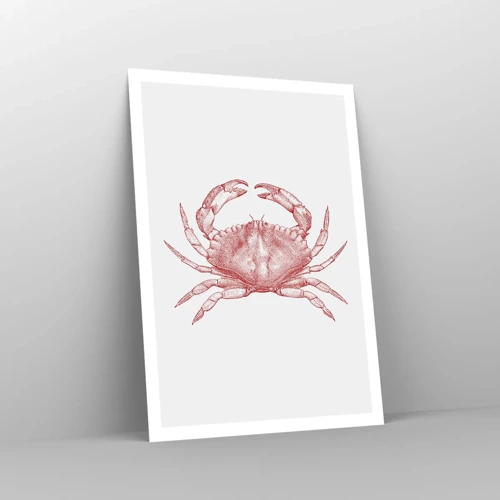 Poster - Krab der krabben - 70x100 cm