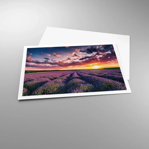 Poster - Lavendel wereld - 100x70 cm