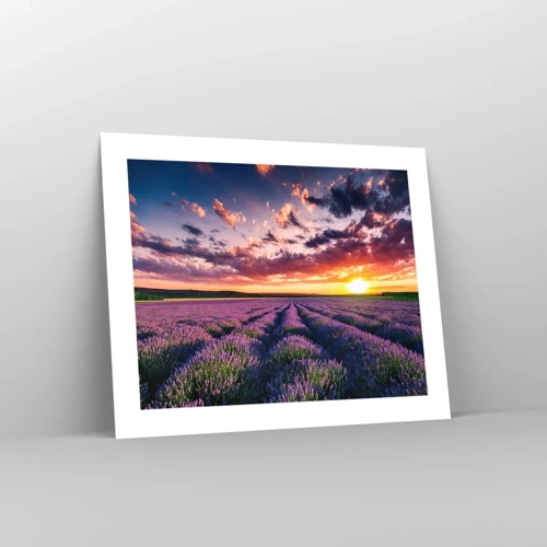 Poster - Lavendel wereld - 50x40 cm