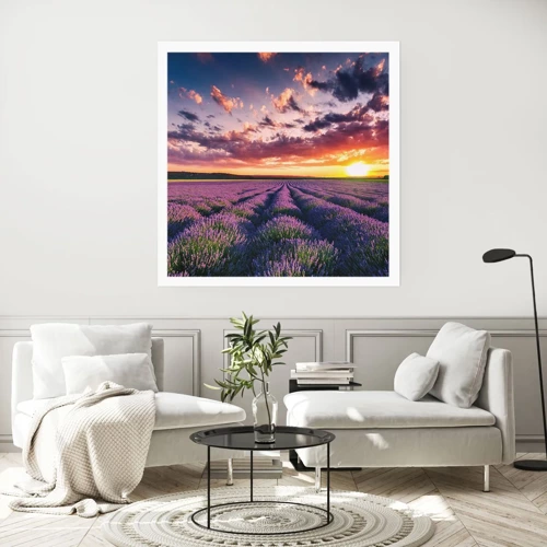 Poster - Lavendel wereld - 50x50 cm