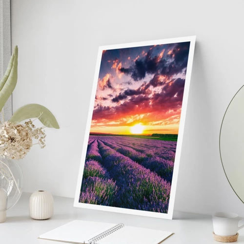 Poster - Lavendel wereld - 70x100 cm