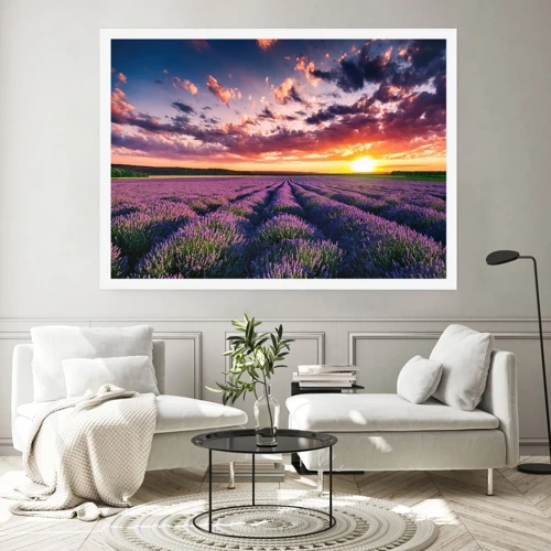 Poster - Lavendel wereld - 70x50 cm
