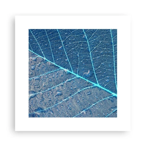 Poster - Leven in blauw - 30x30 cm