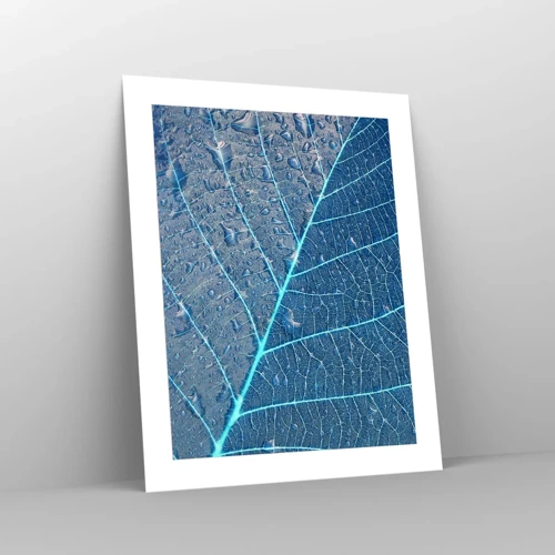 Poster - Leven in blauw - 40x50 cm