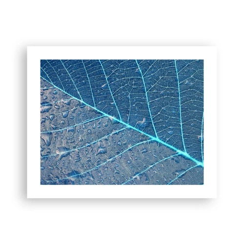 Poster - Leven in blauw - 50x40 cm