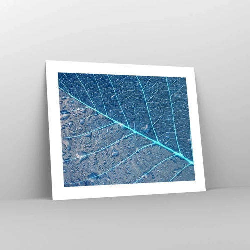 Poster - Leven in blauw - 50x40 cm