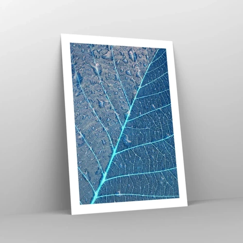 Poster - Leven in blauw - 50x70 cm