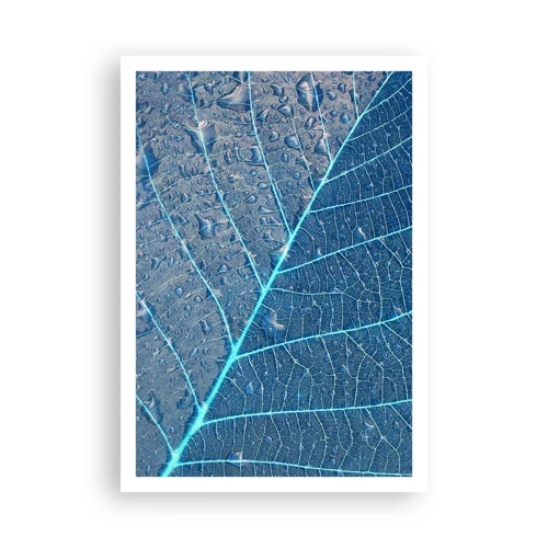 Poster - Leven in blauw - 70x100 cm