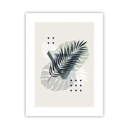 Poster - Natuur en geometrie - twee orden? - 30x40 cm