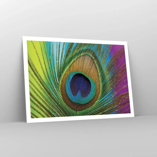 Poster - Oog in oog - 100x70 cm