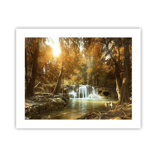 Poster - Park cascade - 50x40 cm