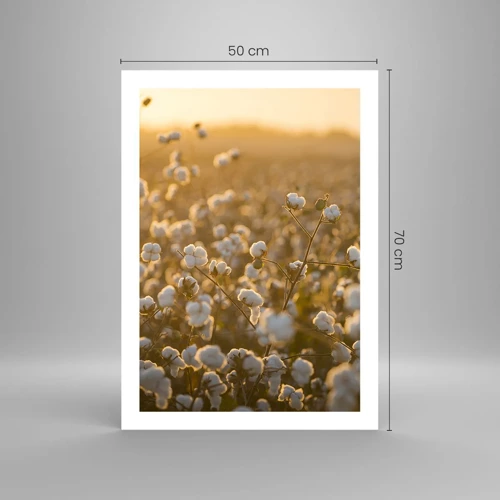 Poster - Pluizig veld - 50x70 cm