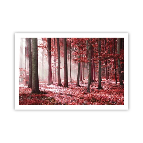 Poster - Rood is net zo mooi - 91x61 cm