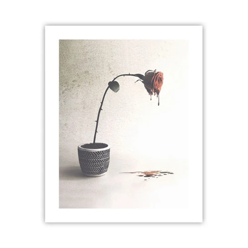 Poster - Rosa dolorosa - 40x50 cm