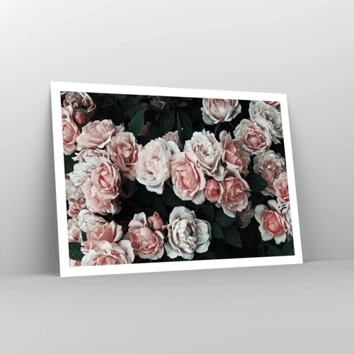 Poster - Rozen ensemble - 100x70 cm