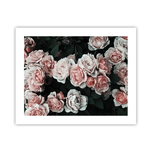 Poster - Rozen ensemble - 50x40 cm