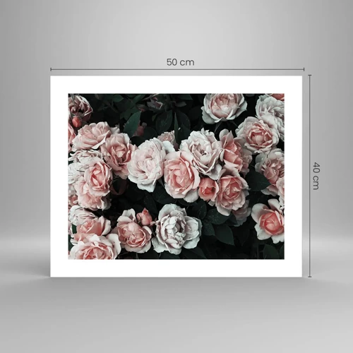 Poster - Rozen ensemble - 50x40 cm