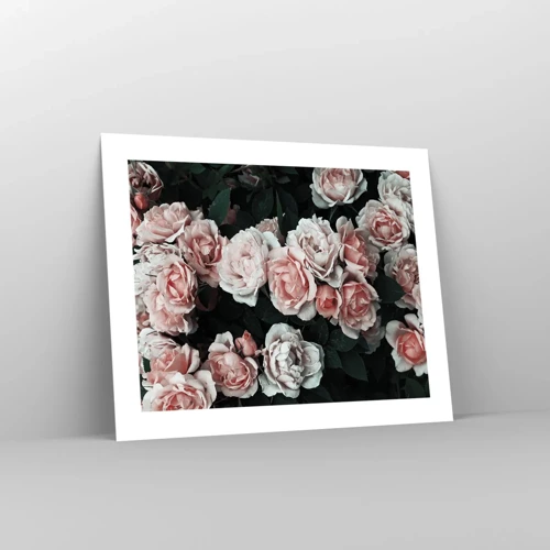 Poster - Rozen ensemble - 50x40 cm