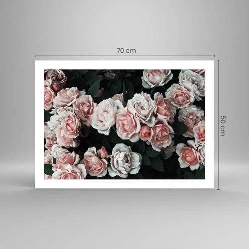 Poster - Rozen ensemble - 70x50 cm