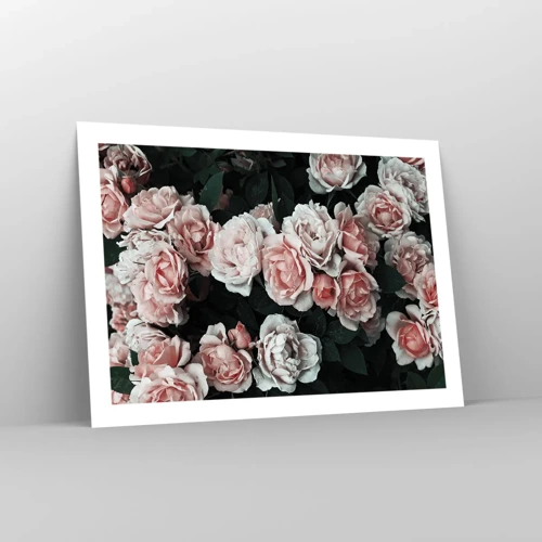 Poster - Rozen ensemble - 70x50 cm