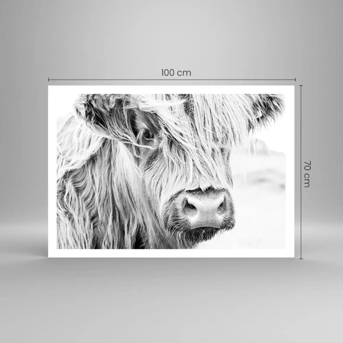 Poster - Schotse wildheid - 100x70 cm