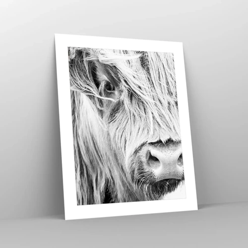 Poster - Schotse wildheid - 40x50 cm