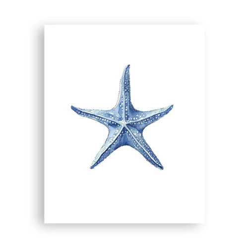 Poster - Ster van de zee - 40x50 cm