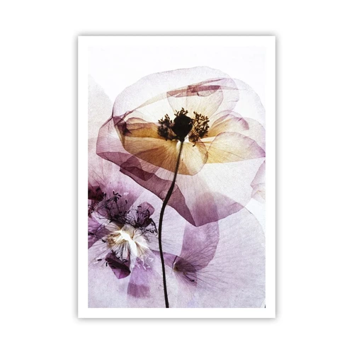 Poster - Transparante lichaamsbloemen - 70x100 cm