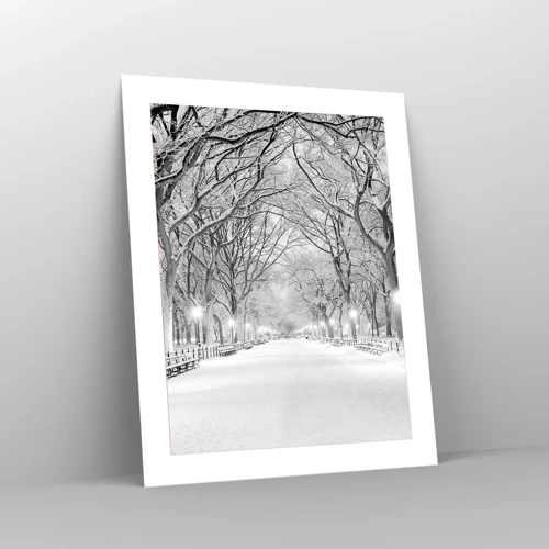 Poster - Vier seizoenen - winter - 40x50 cm