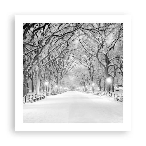 Poster - Vier seizoenen - winter - 50x50 cm