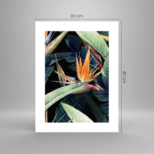 Poster - Vlammende bloemen van de tropen - 30x40 cm