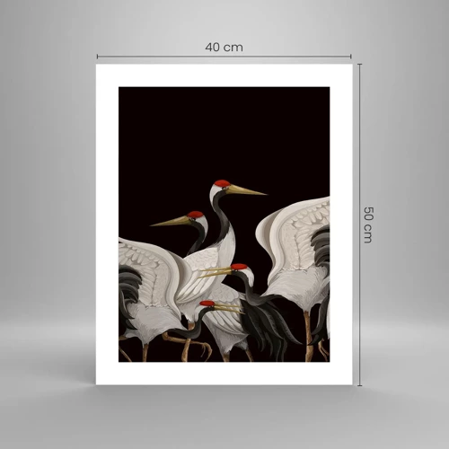 Poster - Vogel spullen - 40x50 cm