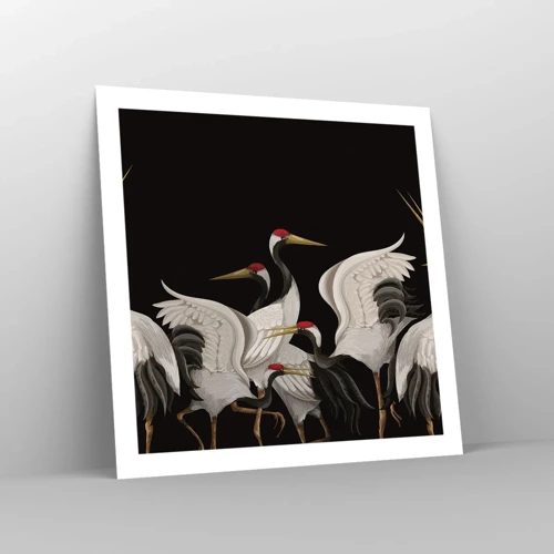 Poster - Vogel spullen - 60x60 cm