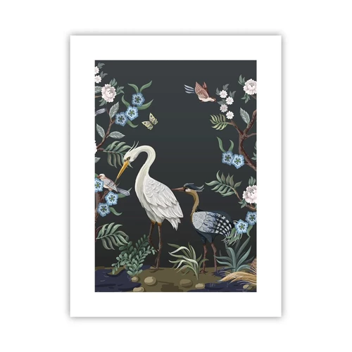 Poster - Vogelparade - 30x40 cm