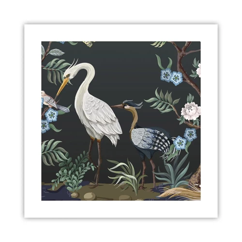 Poster - Vogelparade - 40x40 cm