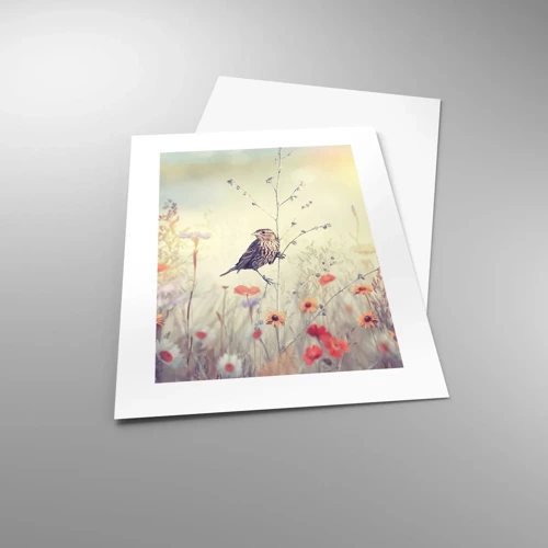 Poster - Vogelportret met een weiland op de achtergrond - 30x40 cm