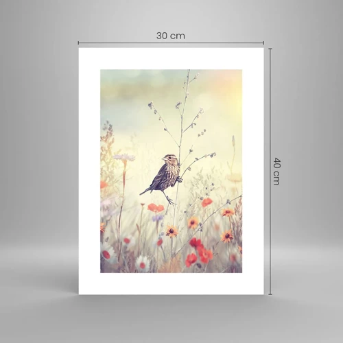 Poster - Vogelportret met een weiland op de achtergrond - 30x40 cm