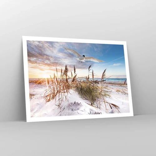 Poster - Wind uit zee - 100x70 cm