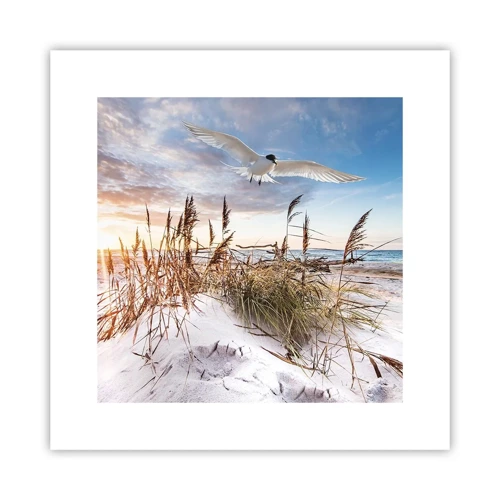 Poster - Wind uit zee - 30x30 cm