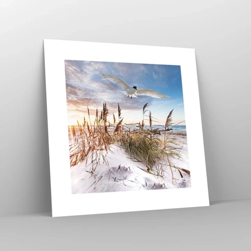 Poster - Wind uit zee - 30x30 cm