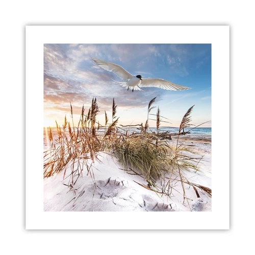 Poster - Wind uit zee - 40x40 cm