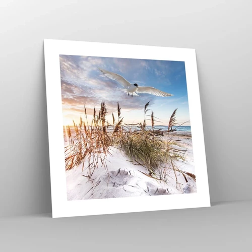 Poster - Wind uit zee - 40x40 cm