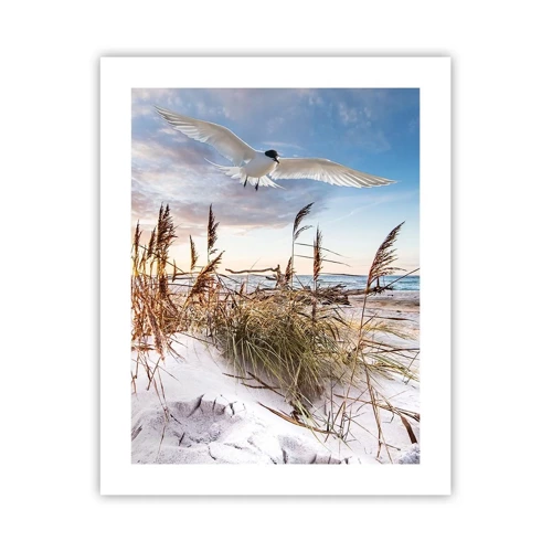 Poster - Wind uit zee - 40x50 cm